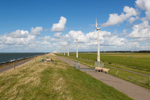 The EU Climate Adaptation Strategy: Towards a climate-resilient Europe?