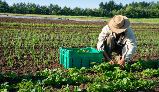 Carbon farming: What role can it play in reaching net-zero?