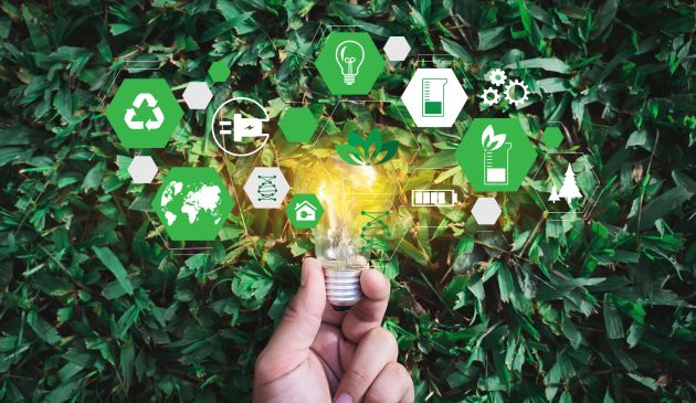 Green transition: Digitalisation as an enabler for citizen participation