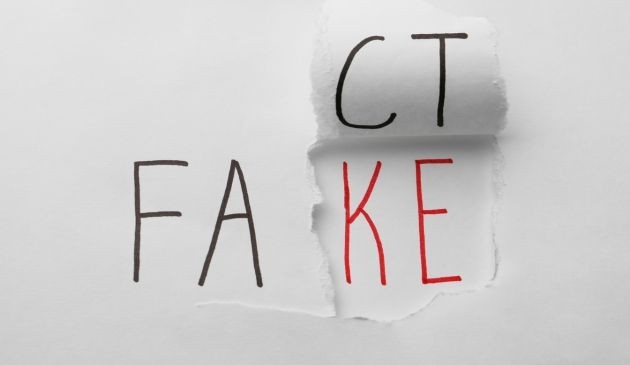 Disinformation ahead of the EU elections: Insights from Italy, Bulgaria and Germany