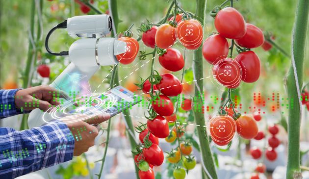 Greening the EU’s agri-food agenda: What is the role for digitalisation?