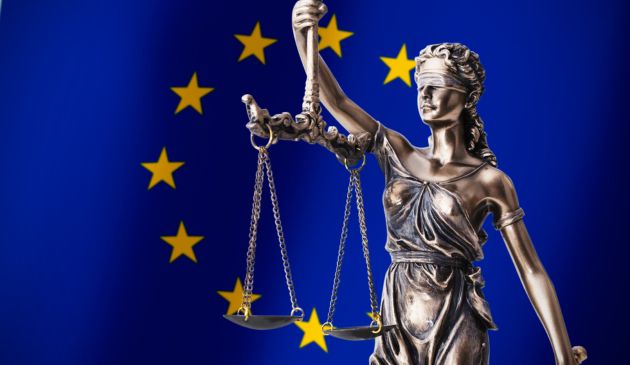 The 2025 Rule of Law report: Full use of the EU toolbox?