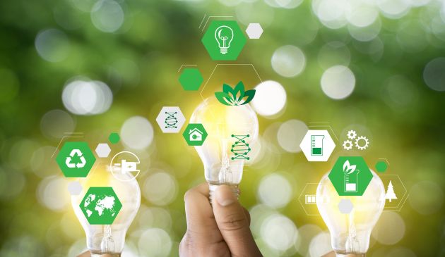The Future of the Twin Green and Digital Transition
