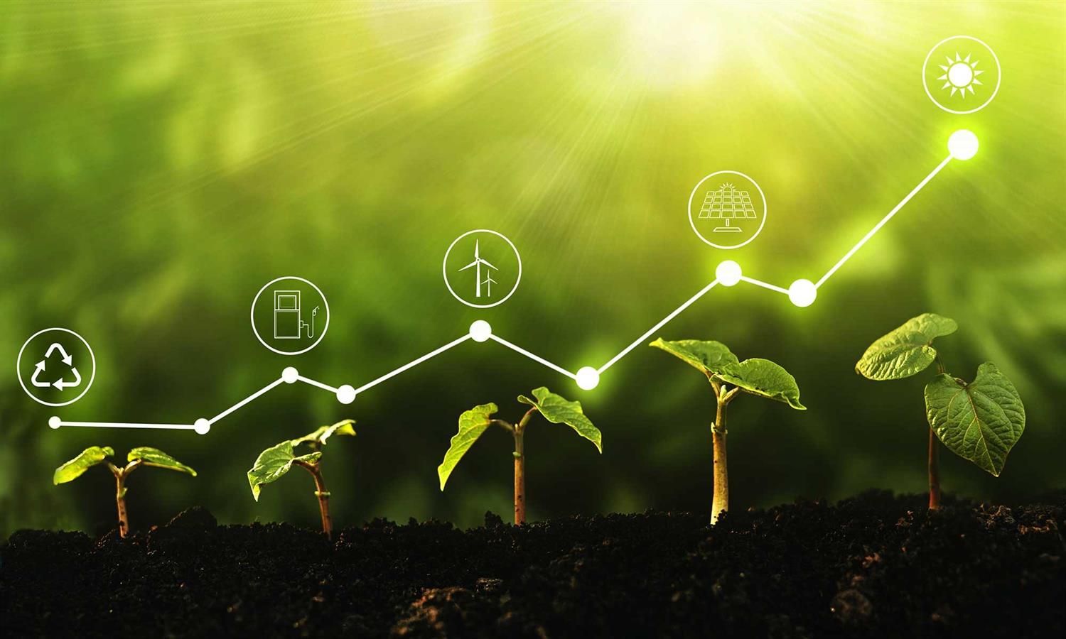 Bioeconomy: a driver for the European Green Deal?