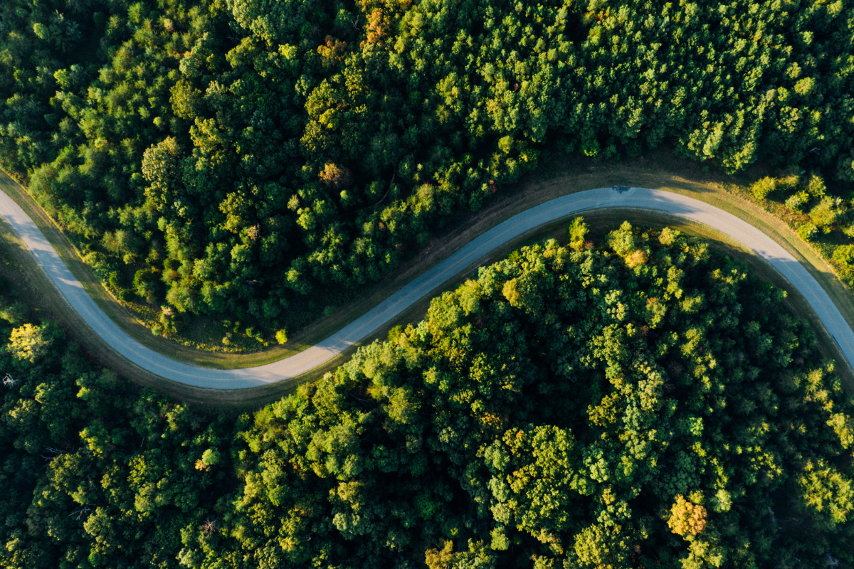 The European Single Market: A driver for the Green Deal?