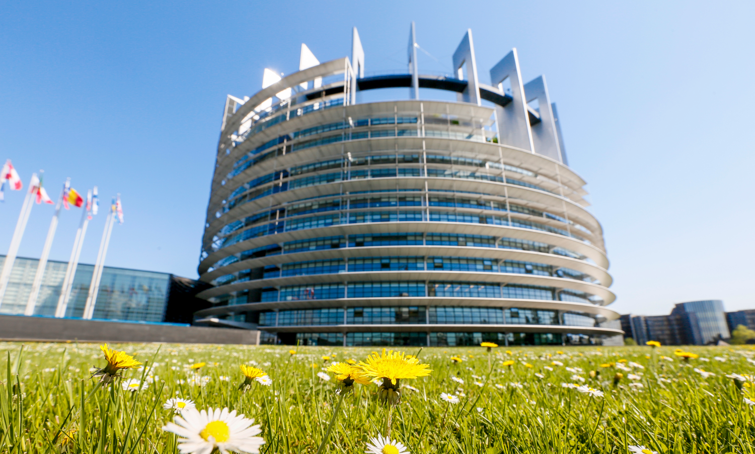 Post-Summit Briefing/EPC Fortnightly Update