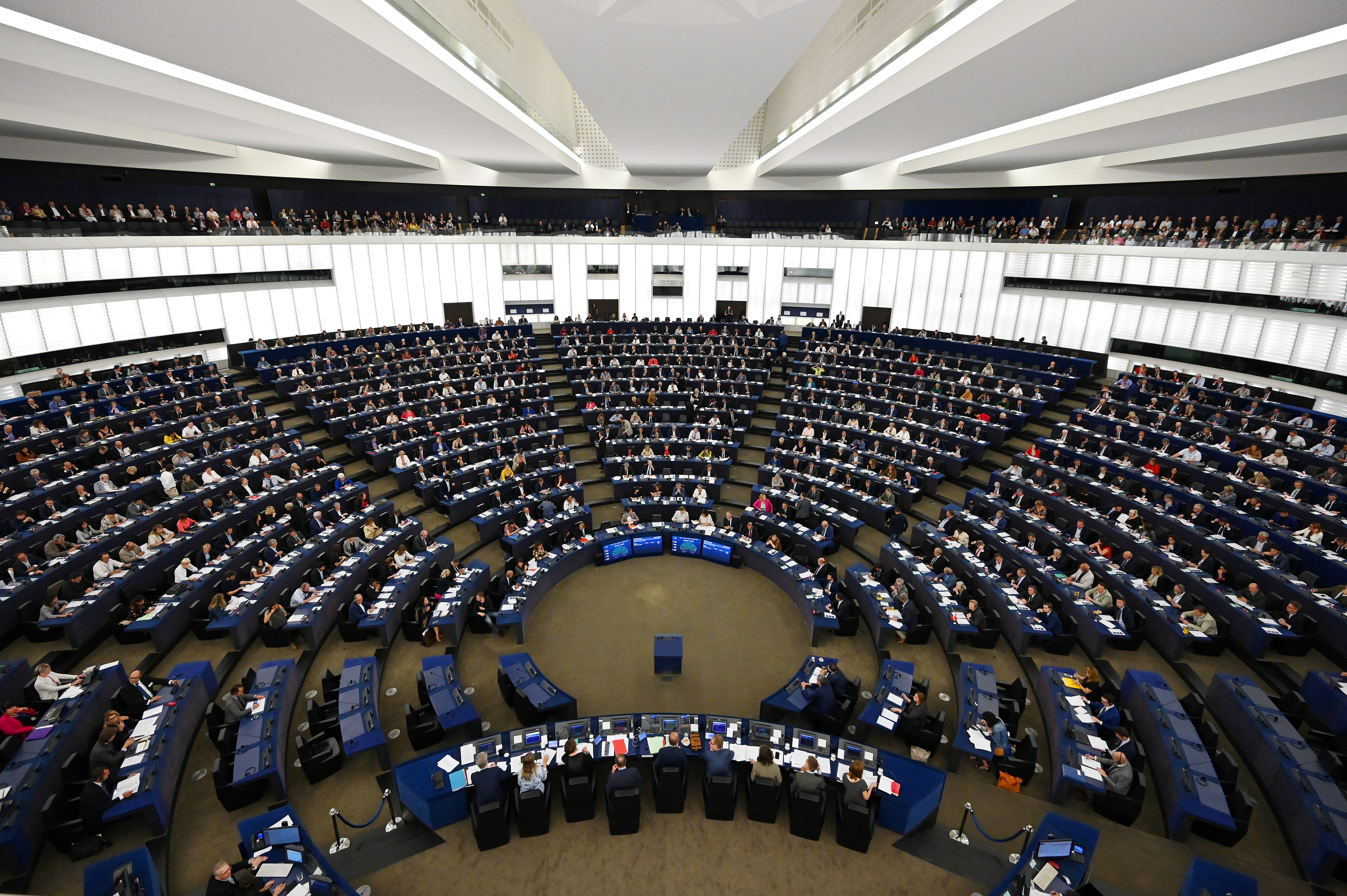 Forging Synergies ahead of the 2019 European Parliament Elections - Workshop