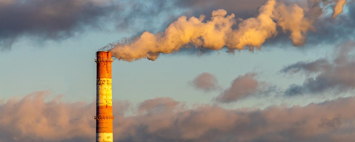 Carbon border adjustment design: Opportunities for international cooperation