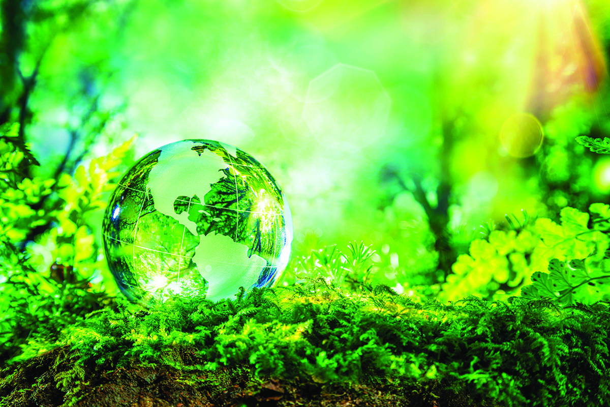 Fit for 55 package: A policy framework fit for a climate-neutral EU?