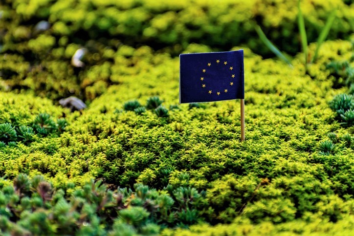 The Green Deal as a solution to our crisis-riddled times