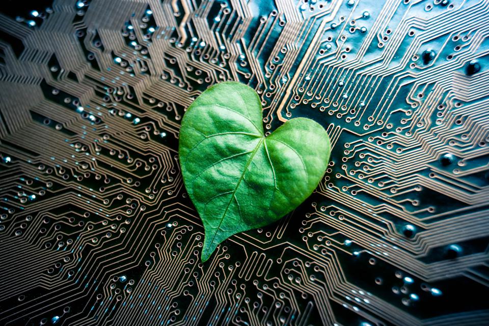 Greening ICT: What can the EU do?