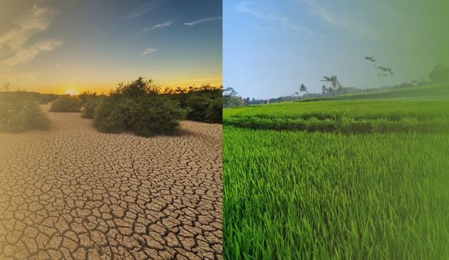 Addressing today’s crises: Aligning short-term measures with long-term goals