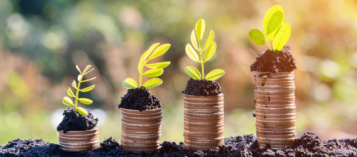 Sustainable financing 101 - state of play and next steps