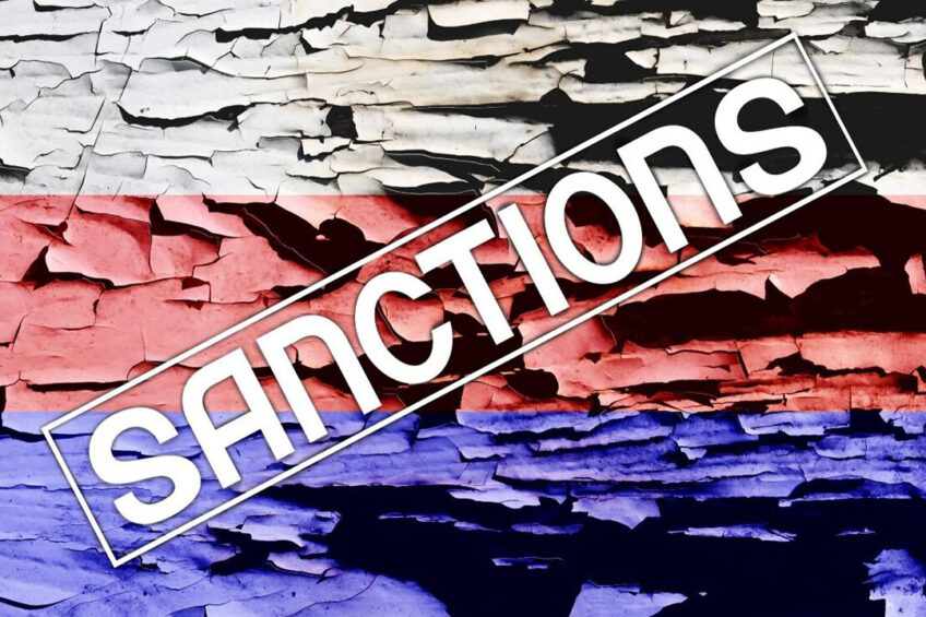 The war in Ukraine: The effectiveness and impacts of Western sanctions