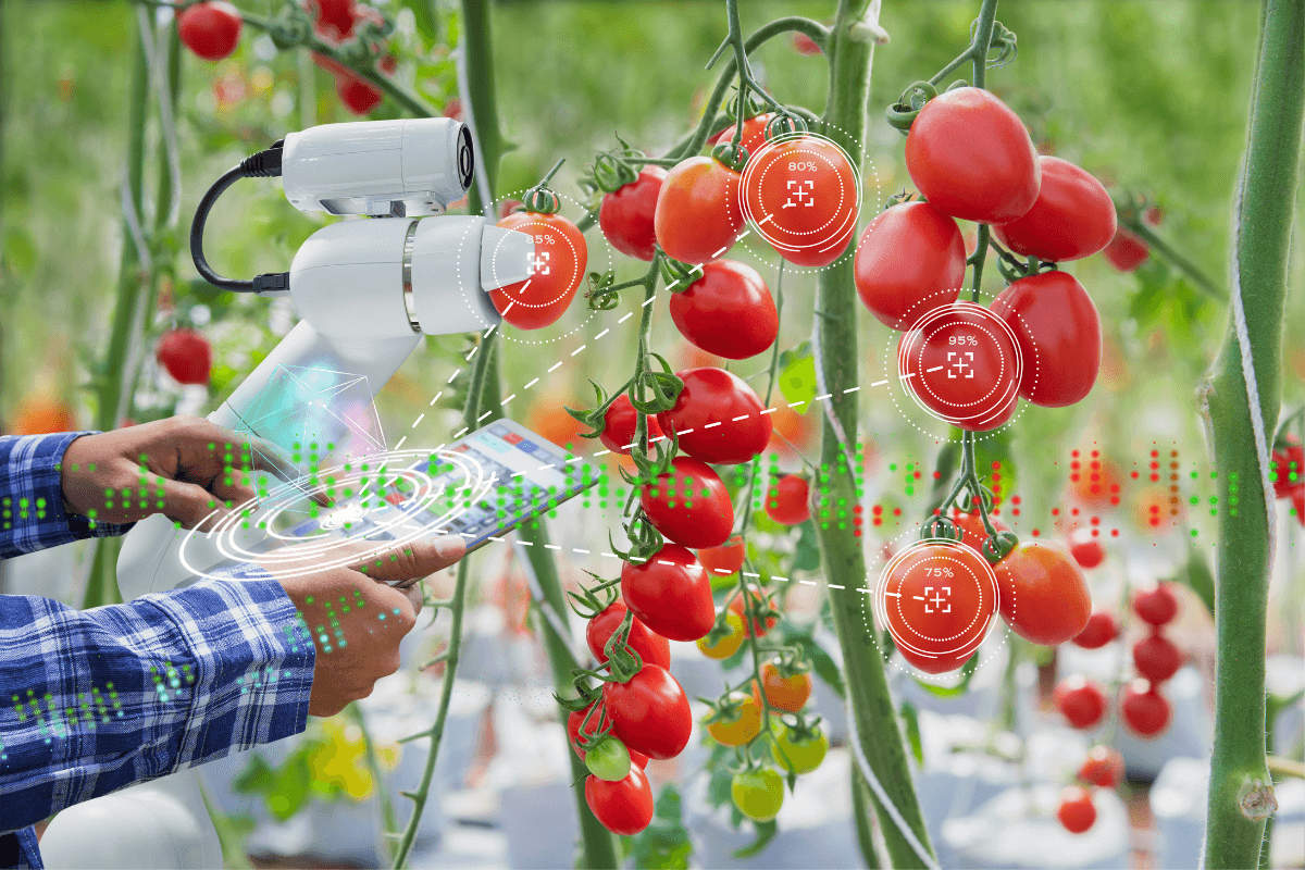 Digitalisation for sustainable and resilient agri-food system