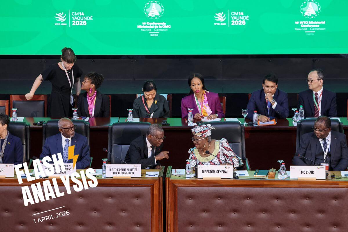 WTO conference fails to deliver: what comes next?